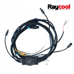 Set de Cables completo para Patinetes Raycool Brushless